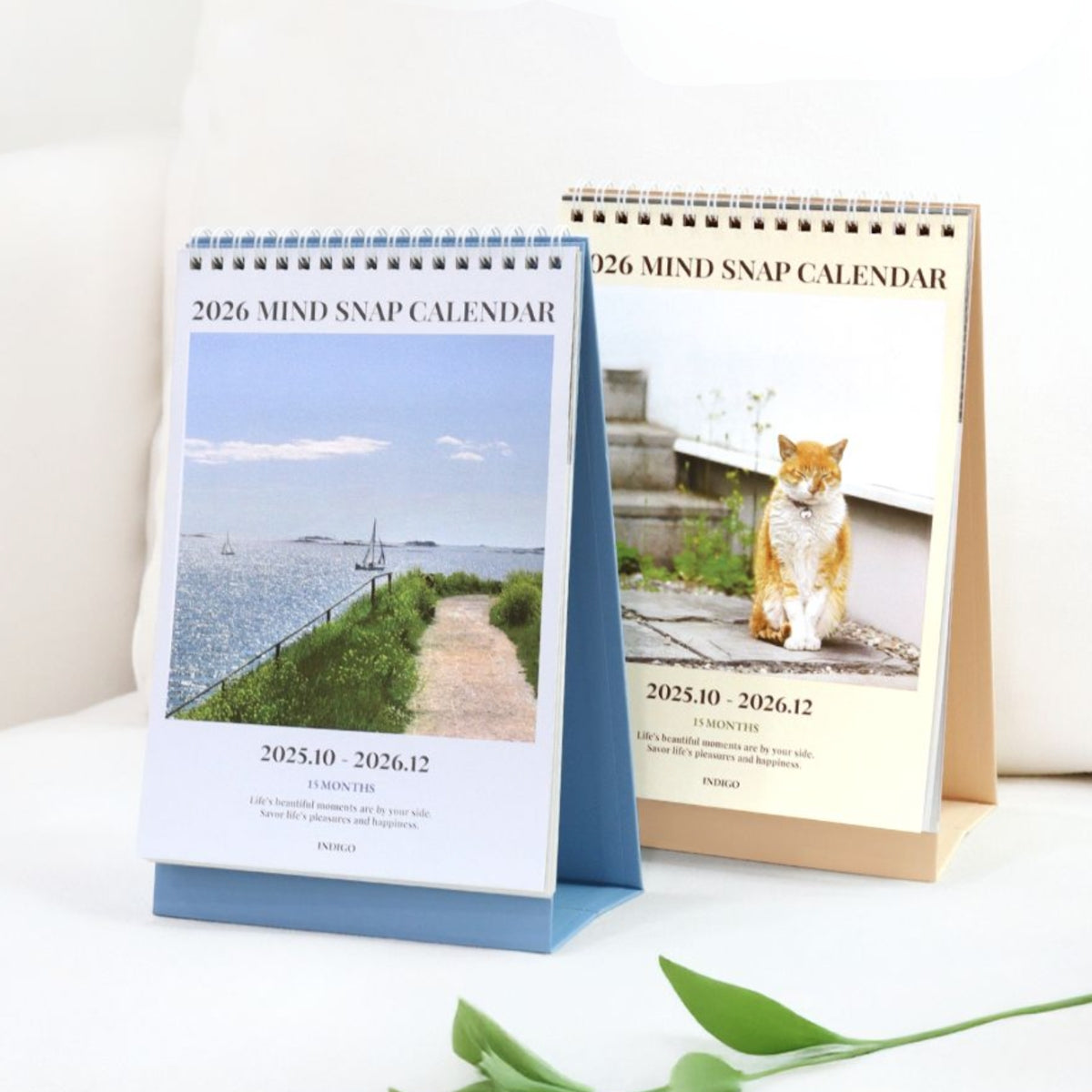 Calendario 2026 Mind Snap (15 meses)