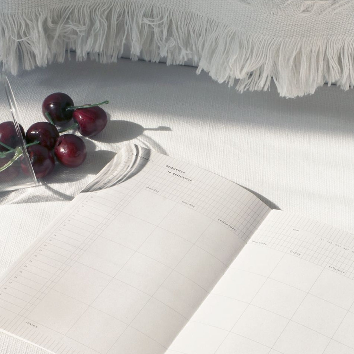 Agenda semanal Sequence to Sequence v.2