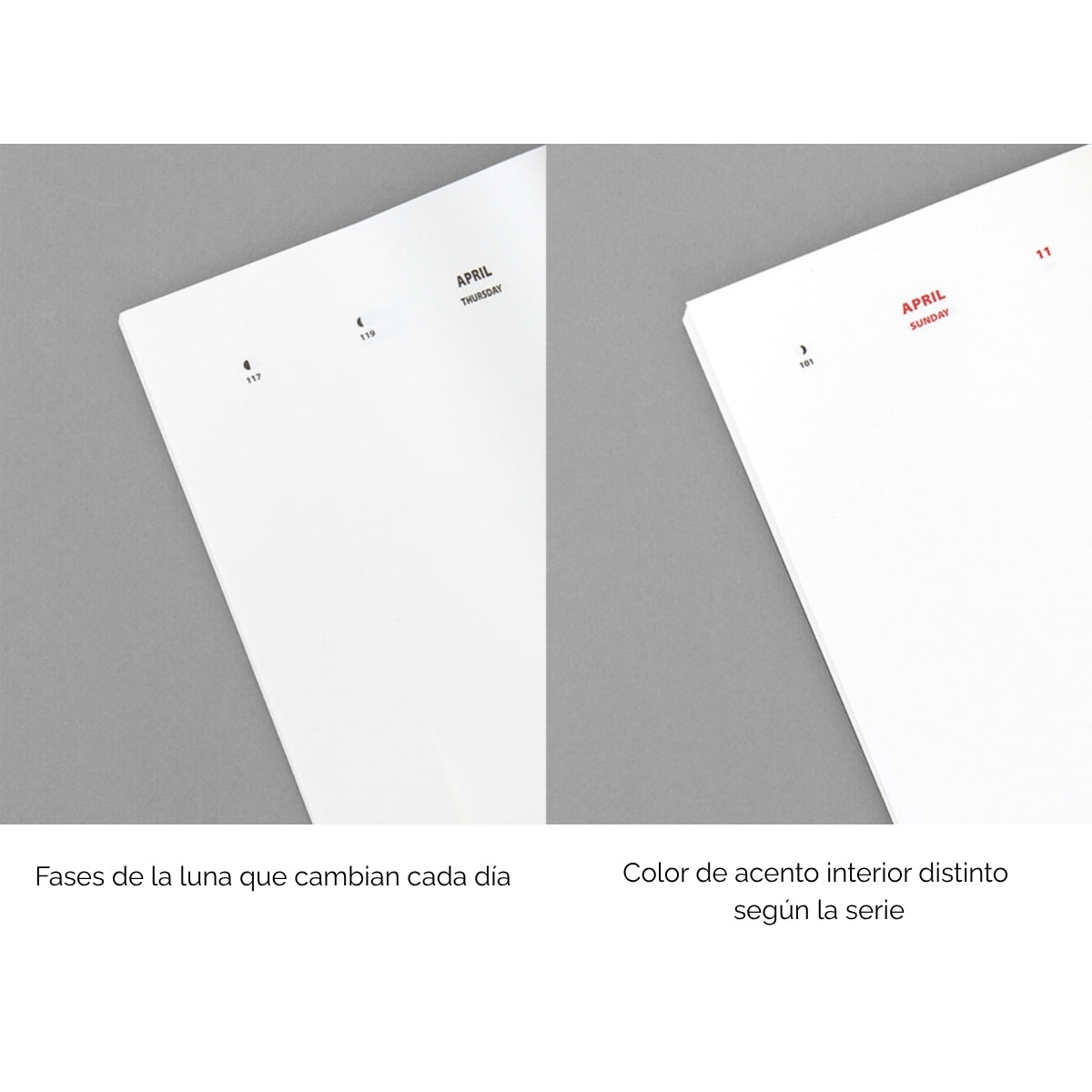 2027 Diario Life & Pieces