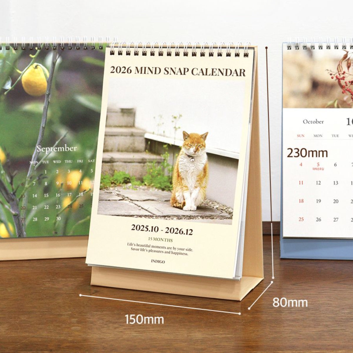 Calendario 2026 Mind Snap (15 meses)