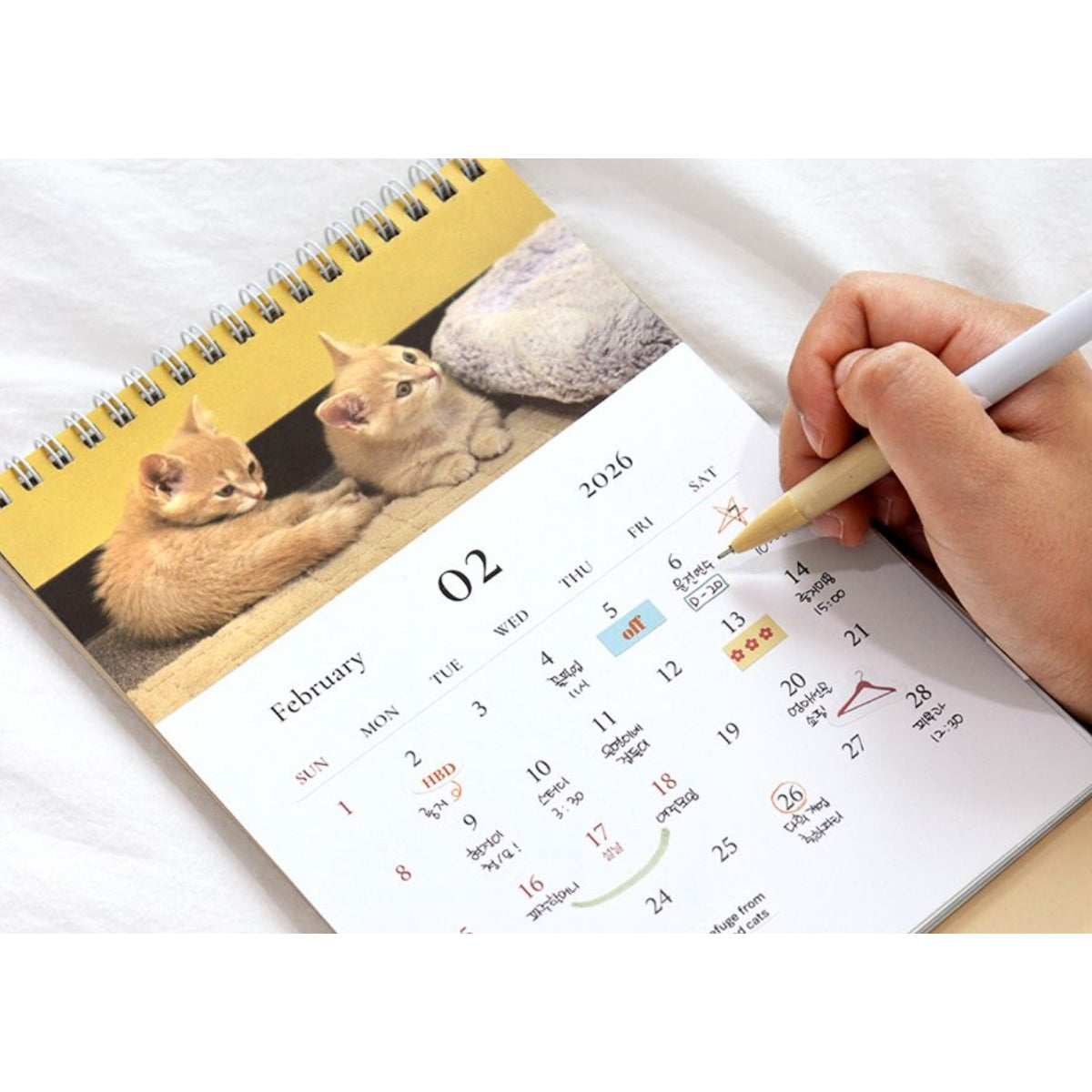 Calendario 2026 Mind Snap (15 meses)