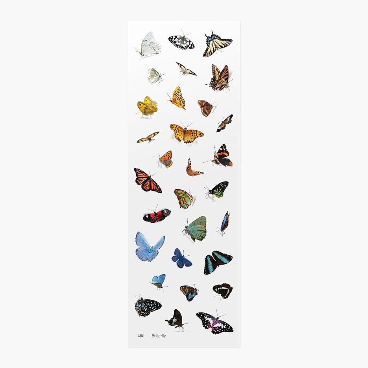 Sticker Decorativo Nature