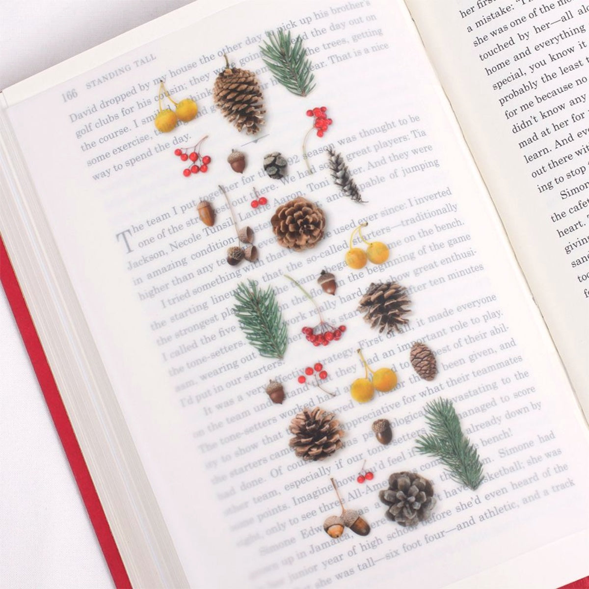 Sticker Decorativo Nature