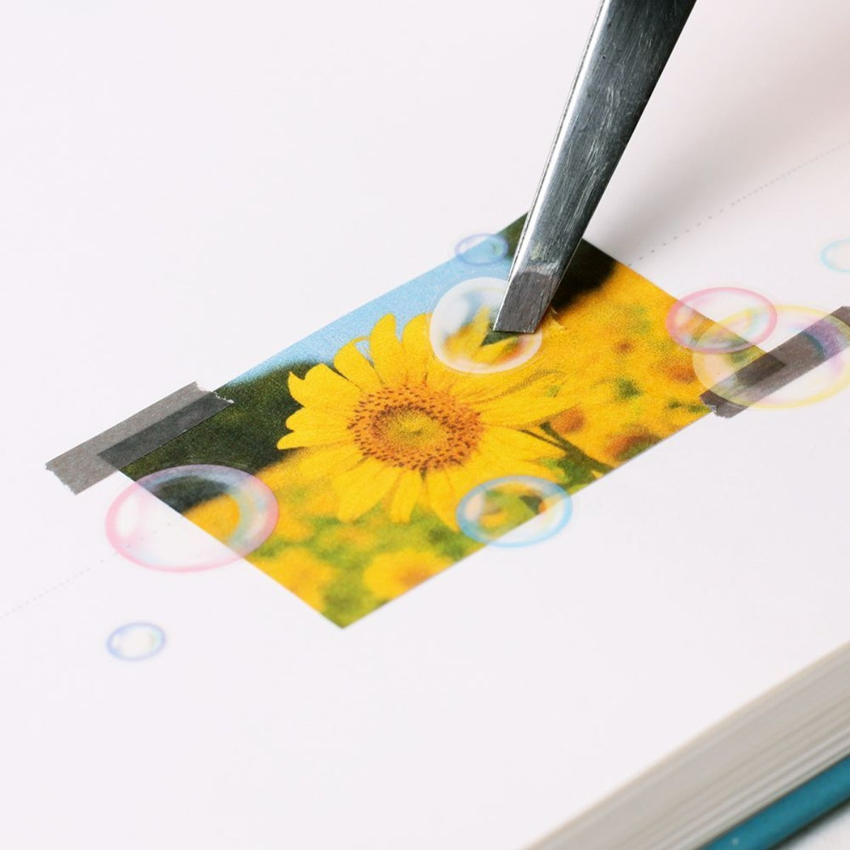 Sticker Decorativo Nature