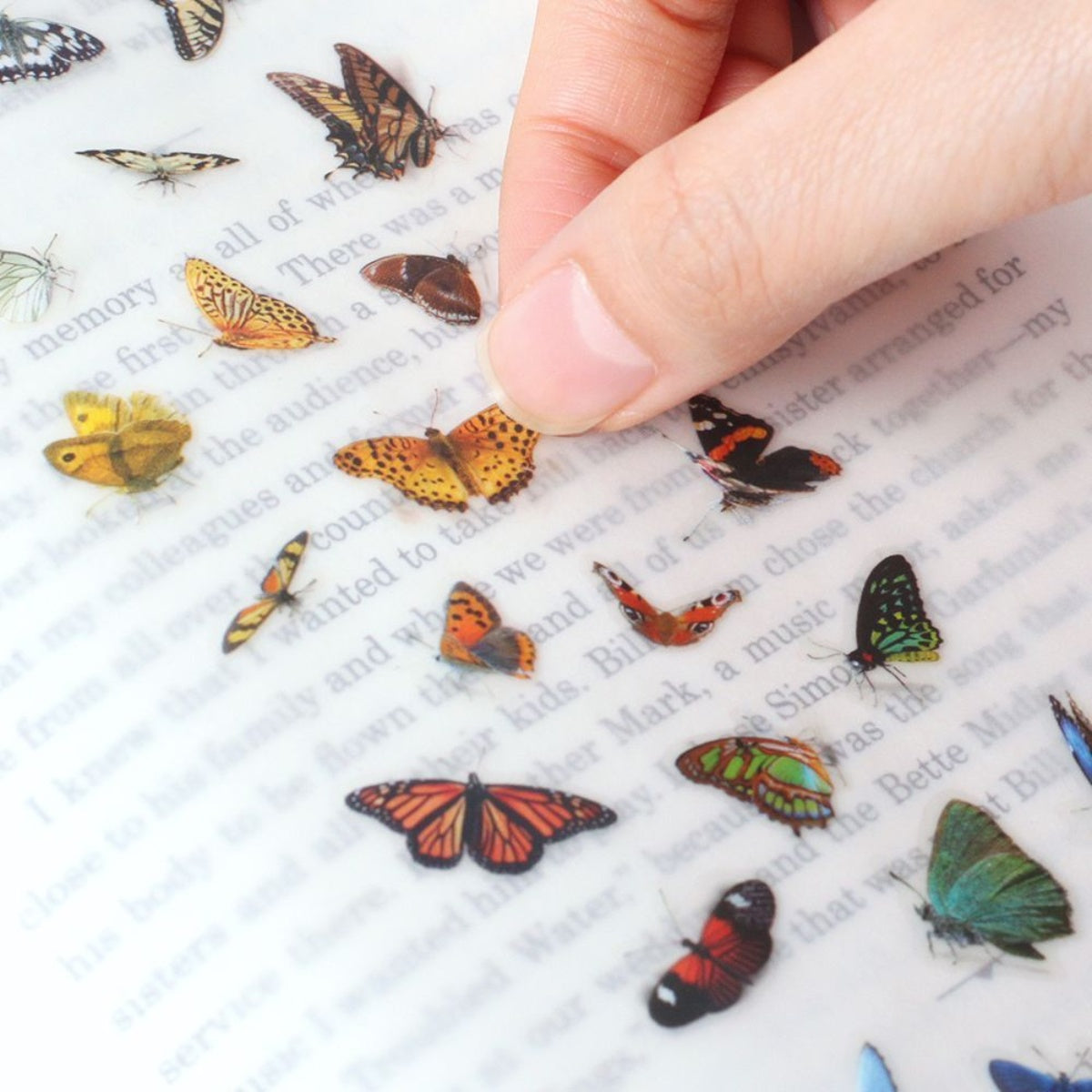 Sticker Decorativo Nature