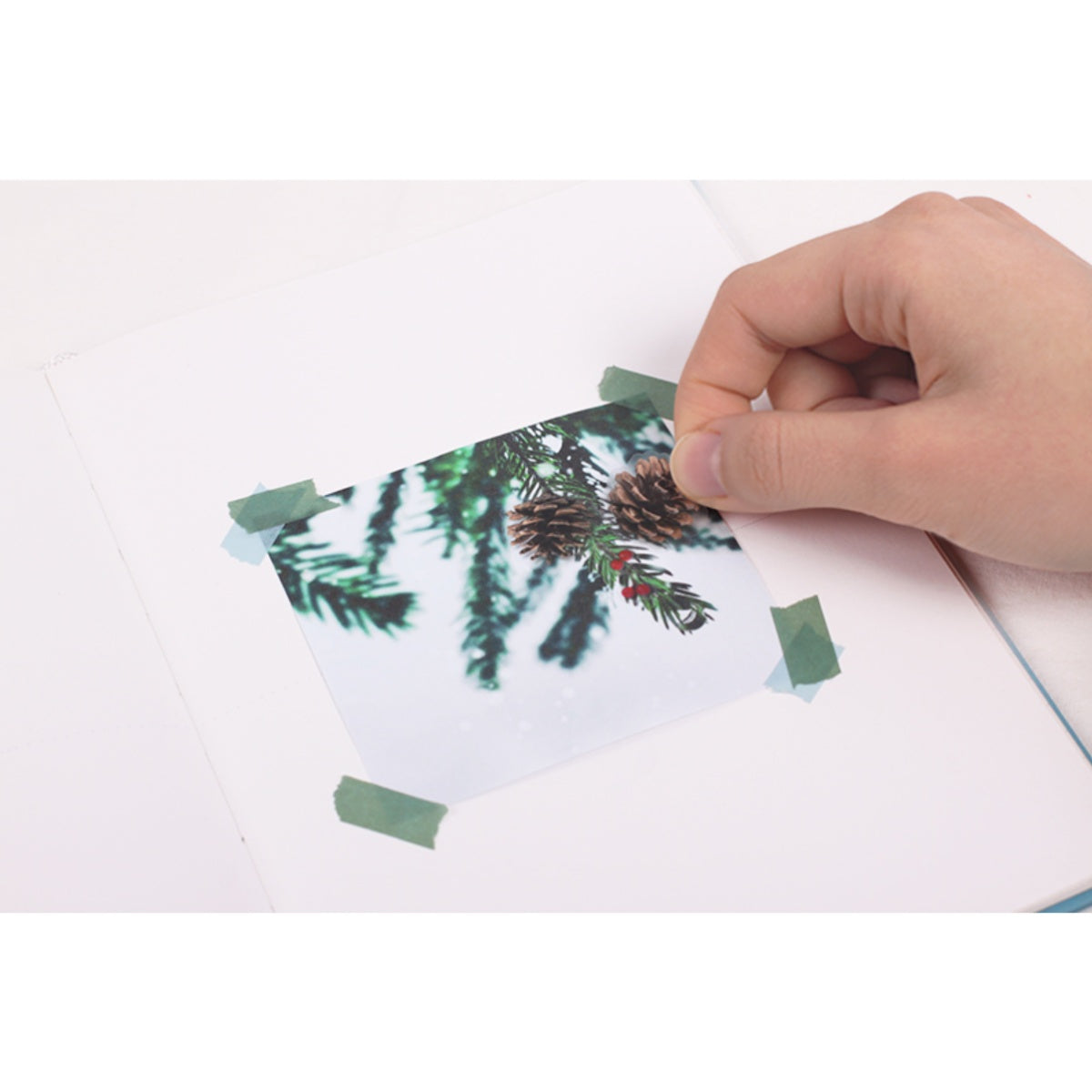 Sticker Decorativo Nature