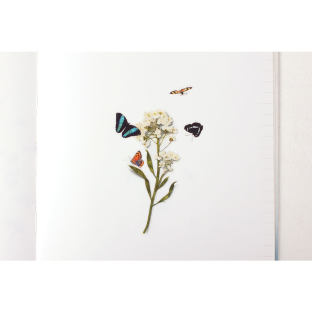 Sticker Decorativo Nature