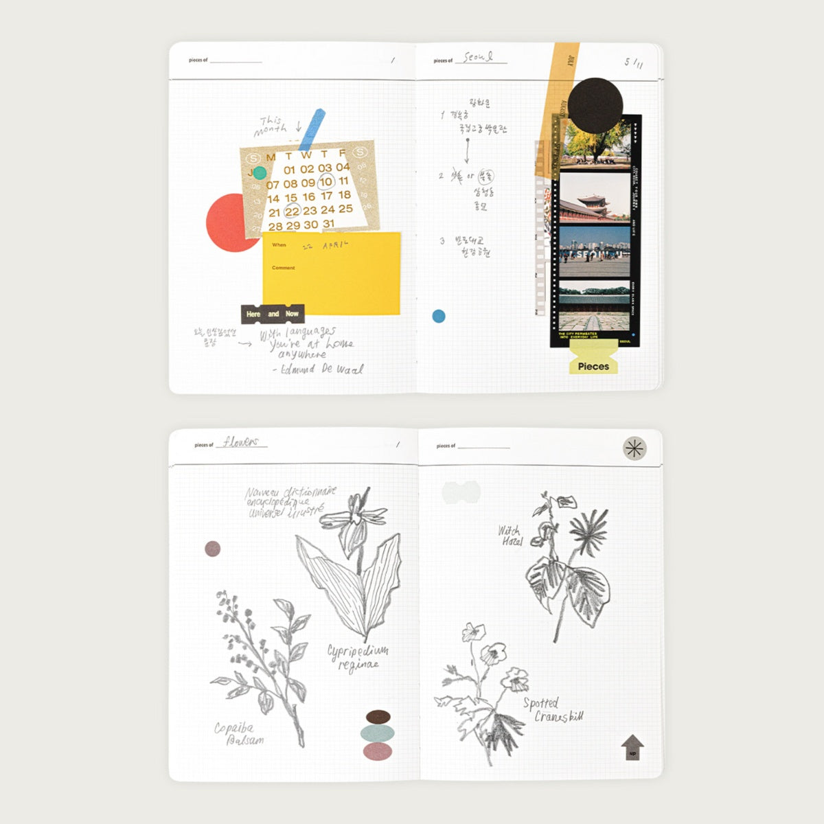 Libreta Life & Pieces V.3, grande