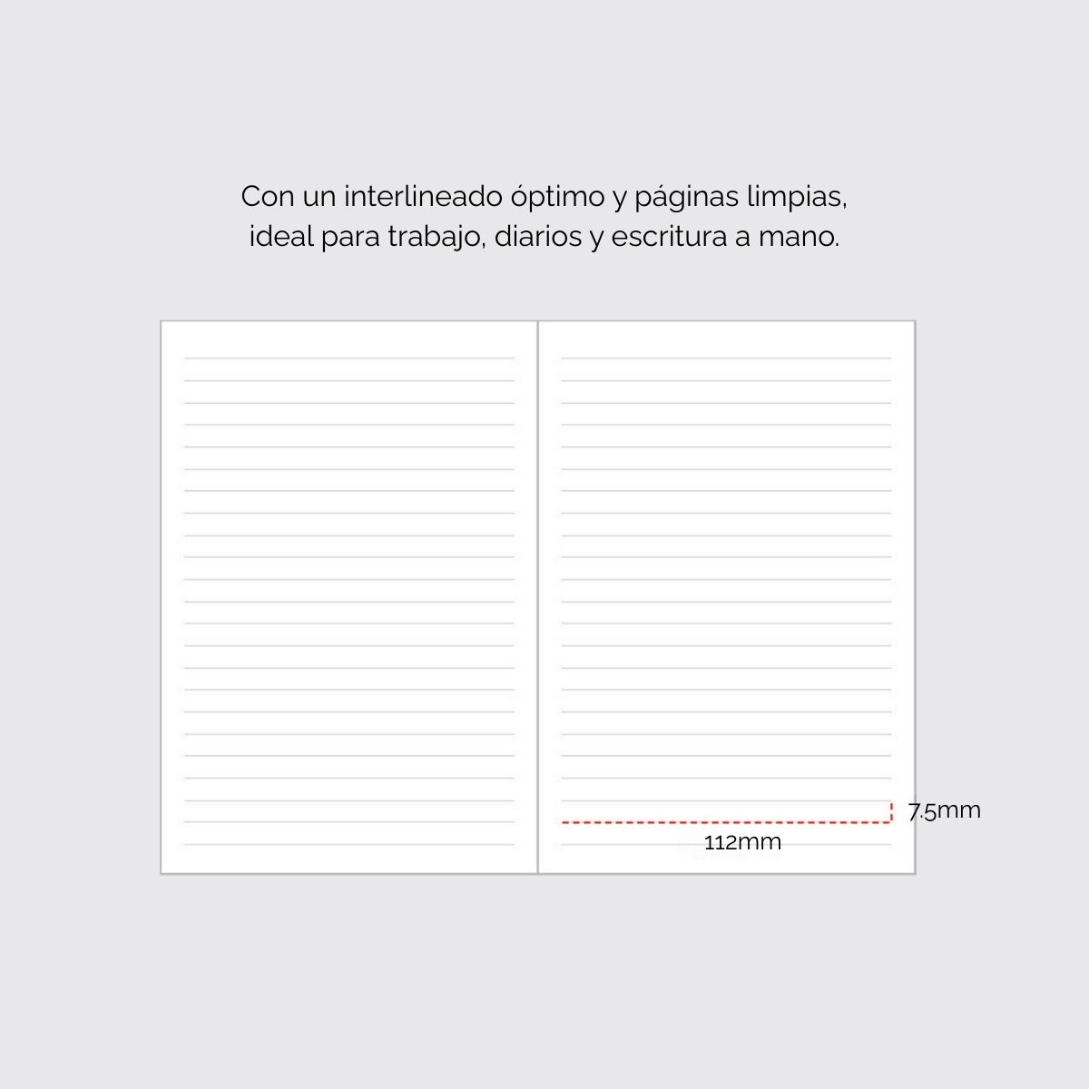 Libreta B6 Prism 280, Linea