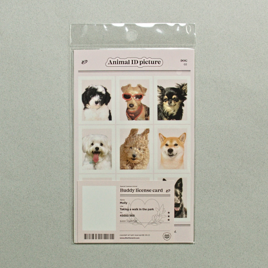 Sticker Decorativo Animal Lover